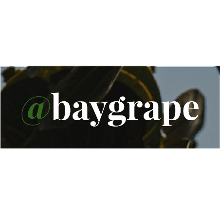 baygrape logo